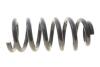 Пружина (передня) Mitsubishi L200 2.5D/DI-D 05-15/Pajero Sport 3.0 4WD 09-14 Solgy 212152 (фото 1)