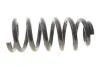 Пружина (передня) Mitsubishi L200 2.5D/DI-D 05-15/Pajero Sport 3.0 4WD 09-14 Solgy 212152 (фото 1)