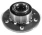 Маточина колеса Ibiza \'02-/Polo \'02- STC T490100 (фото 1)