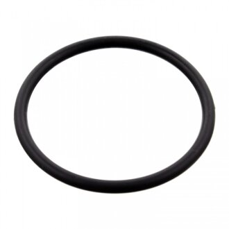 Прокладка термостата SWAG 10 10 0077