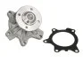 Помпа водяная THERMOTEC D12093TT (фото 1)