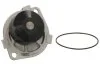 Помпа водяная THERMOTEC D1F060TT (фото 2)
