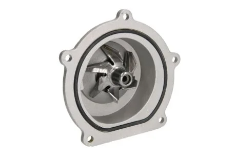 Помпа водяная THERMOTEC D1K019TT