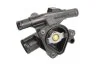 Термостат THERMOTEC D2R017TT (фото 3)