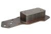 Масляный радиатор, двигательное масло THERMOTEC D4AG027TT (фото 1)