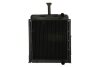 Радиатор охлаждения двигателя THERMOTEC D7AG004TT (фото 1)