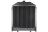 Радиатор, охлаждение двигателя THERMOTEC D7AG042TT (фото 2)