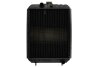 Радиатор охлаждения двигателя THERMOTEC D7AG163TT (фото 1)