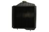 Радиатор охлаждения двигателя THERMOTEC D7AG164TT (фото 2)