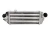 Интеркулер THERMOTEC DA05002TT (фото 1)