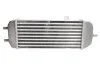 Интеркулер THERMOTEC DA05002TT (фото 2)