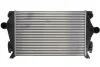 Интеркулер THERMOTEC DAA022TT (фото 1)