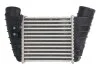 Интеркулер THERMOTEC DAA023TT (фото 1)
