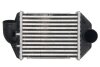 Интеркулер THERMOTEC DAA028TT (фото 1)