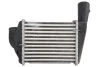 Интеркулер THERMOTEC DAA029TT (фото 2)