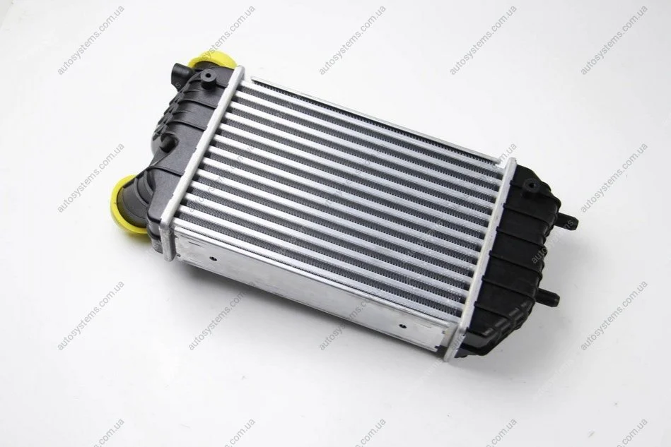Интеркуллер THERMOTEC DAF001TT (фото 1)