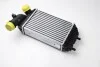 Интеркуллер THERMOTEC DAF001TT (фото 2)
