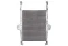 Интеркулер THERMOTEC DAIV002TT (фото 2)