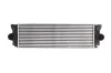 Интеркуллер THERMOTEC DAM006TT (фото 1)