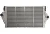 Интеркулер THERMOTEC DAR025TT (фото 1)