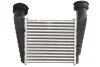 Интеркуллер THERMOTEC DAW004TT (фото 2)