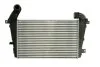 Интеркулер THERMOTEC DAX008TT (фото 1)
