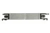 Интеркулер THERMOTEC DAX010TT (фото 2)
