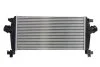 Интеркулер THERMOTEC DAX012TT (фото 2)