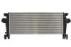 Интеркулер THERMOTEC DAX029TT (фото 1)
