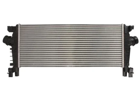 Интеркулер THERMOTEC DAX029TT