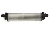 Интеркулер THERMOTEC DAX030TT (фото 1)
