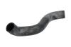 Шланг гумовий сист. охолоджен. THERMOTEC DWF315TT (фото 1)