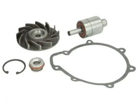 Ремкомплекти водяної помпи THERMOTEC WP-MN111RK