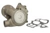 Помпа водяная THERMOTEC WP-PK110 (фото 1)
