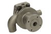 Помпа водяная THERMOTEC WP-PK117 (фото 2)