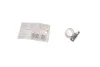 Хомут металевий (08-12/9mm) Topex 37D501 (фото 2)