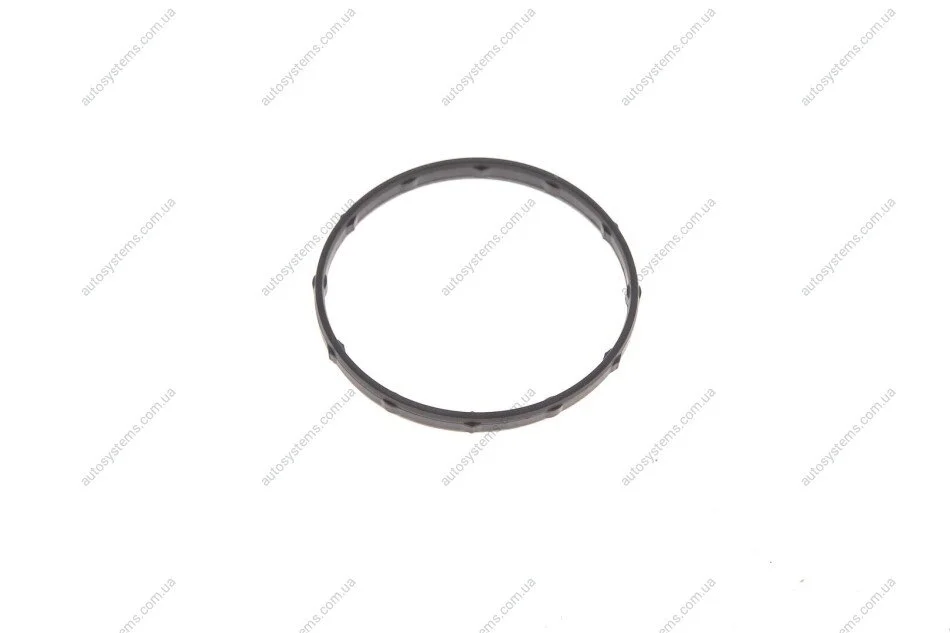 Уплотнительное кольцо TOYOTA 1632647020 (фото 1)