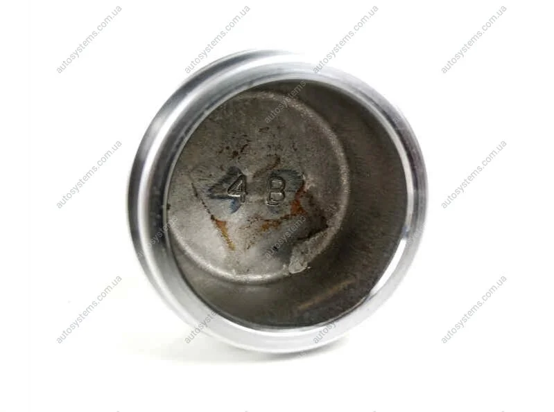 Поршень тормозного суппорта TOYOTA 4773160300 (фото 1)