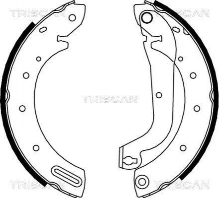 Колодки гальмівні задні барабанні TRISCAN 810014596 (фото 1)