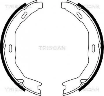 Комплект гальмівних колодок, Стоянкове гальмо TRISCAN 810023029