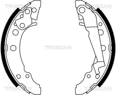 Колодки тормозные барабанные, комплект TRISCAN 8100 29001