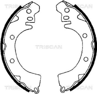 Колодки тормозные барабанные, комплект TRISCAN 8100 42422