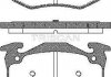 Колодки гальмівні задні TRISCAN 811025001 (фото 1)