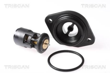Термостат TRISCAN 8620 10187K