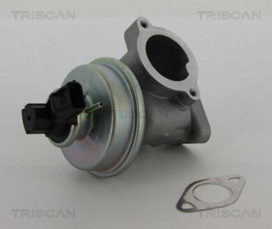 Клапан рециркуляции отработанных газов EGR TRISCAN 8813 16012