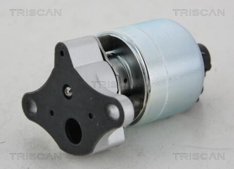 Клапан рециркуляции отработанных газов EGR TRISCAN 8813 21001