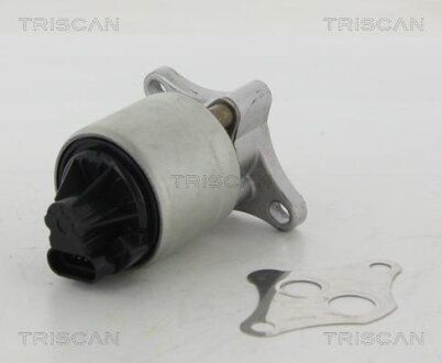 Клапан рециркуляции отработанных газов EGR TRISCAN 8813 24004