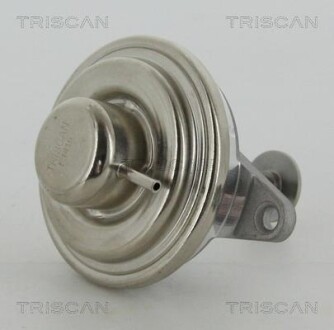 Клапан рециркуляции отработанных газов EGR TRISCAN 8813 24054