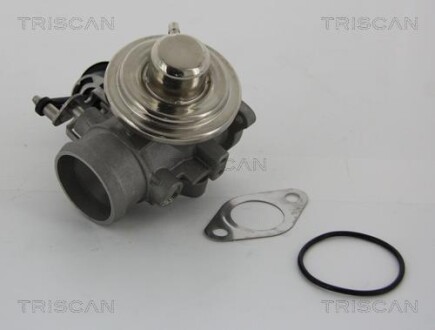 Клапан рециркуляции отработанных газов EGR TRISCAN 8813 29001