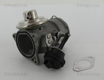 Клапан рециркуляции отработанных газов EGR TRISCAN 8813 29036